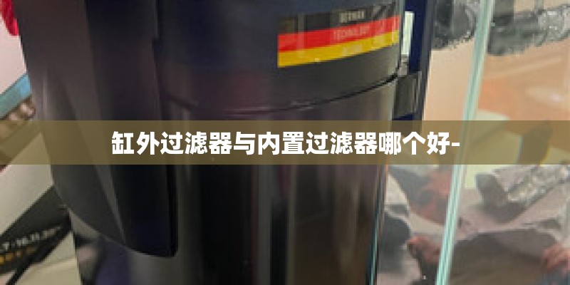 缸外过滤器与内置过滤器哪个好-
