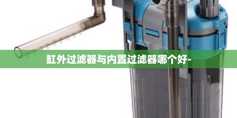 缸外过滤器与内置过滤器哪个好-
