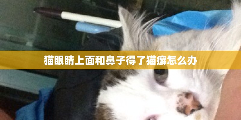 猫眼睛上面和鼻子得了猫癣怎么办