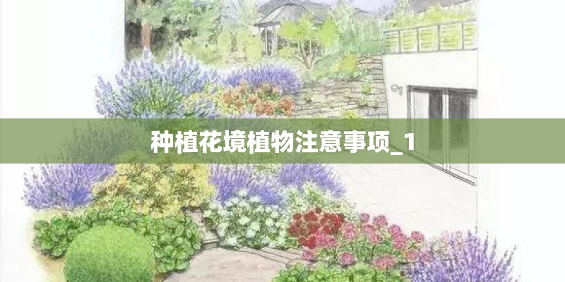 玫瑰茄的栽培方法和途径