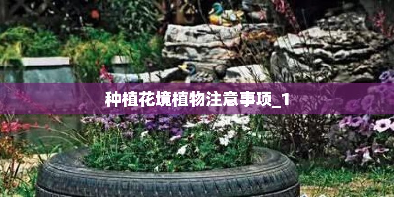 种植花境植物注意事项_1