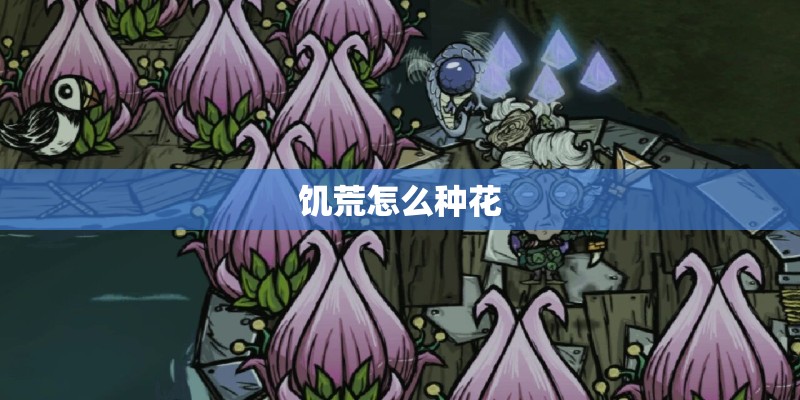 饥荒怎么种花