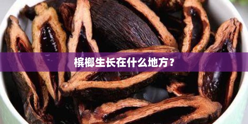 槟榔生长在什么地方？