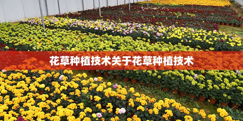 花草种植技术关于花草种植技术
