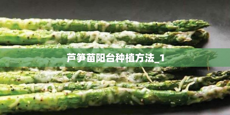 芦笋苗阳台种植方法_1