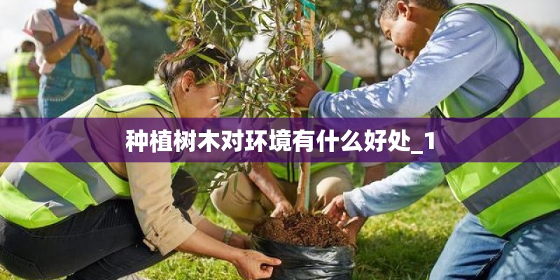 种植树木对环境有什么好处_1