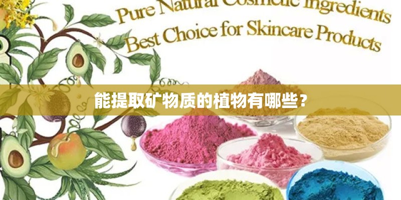 能提取矿物质的植物有哪些? 能提取矿物质的植物有哪些?