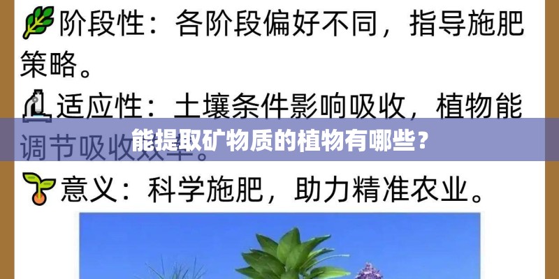 能提取矿物质的植物有哪些? 能提取矿物质的植物有哪些?