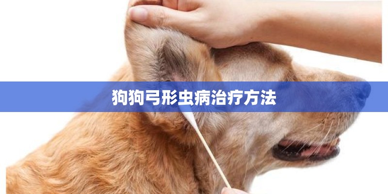 狗狗弓形虫病治疗方法