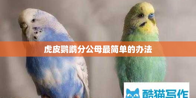 虎皮鹦鹉分公母最简单的办法