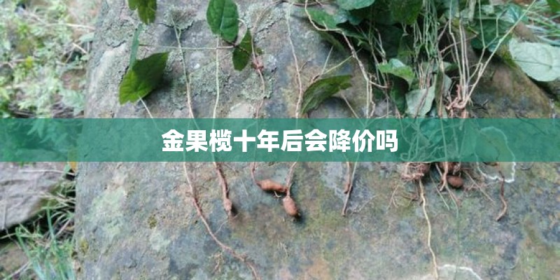 金果榄十年后会降价吗