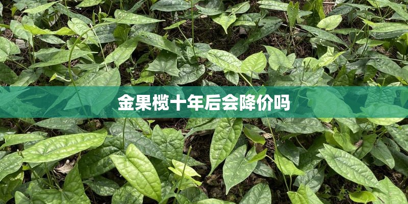 金果榄十年后会降价吗