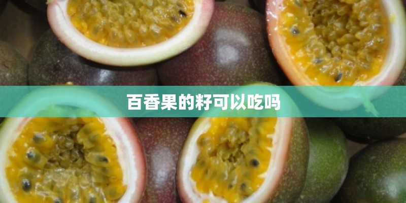百香果的籽可以吃吗 百香果的籽可以吃吗
