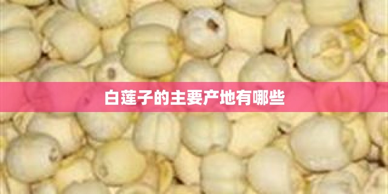 白莲子的主要产地有哪些