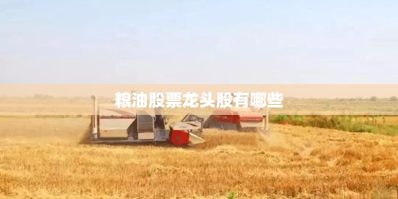 粮油股票龙头股有哪些