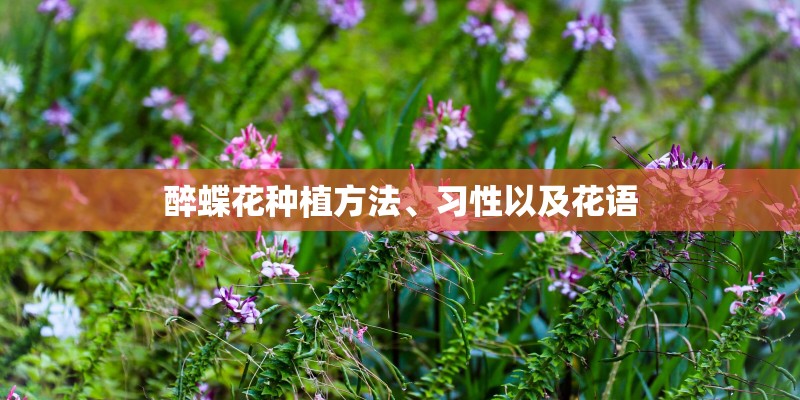 悠久之翼第二季主题曲叫什么名字？