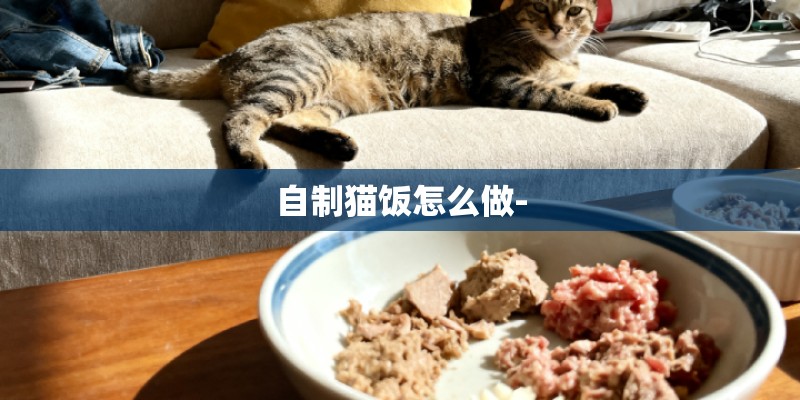 自制猫饭怎么做-
