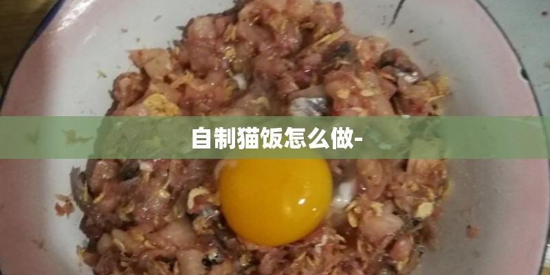 自制猫饭怎么做-