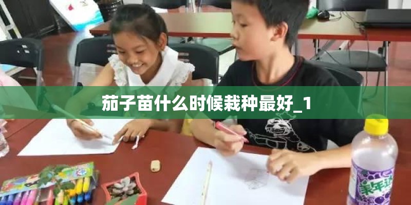 茄子苗什么时候栽种最好_1
