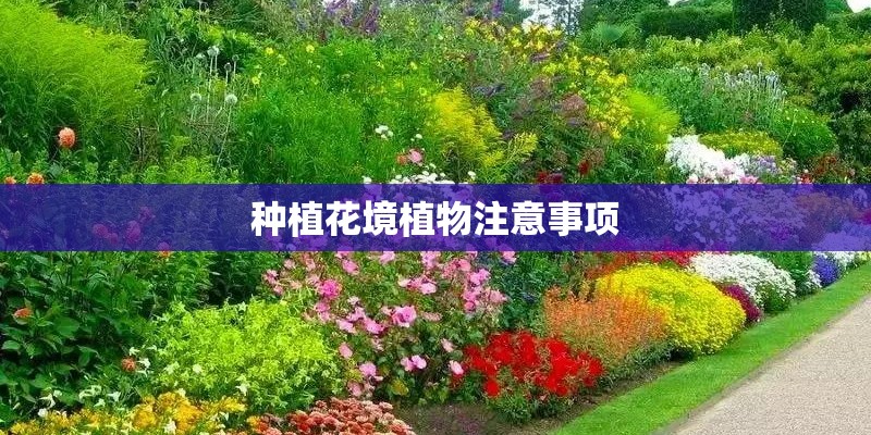 种植花境植物注意事项