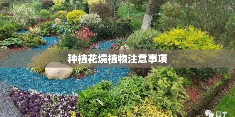 种植花境植物注意事项