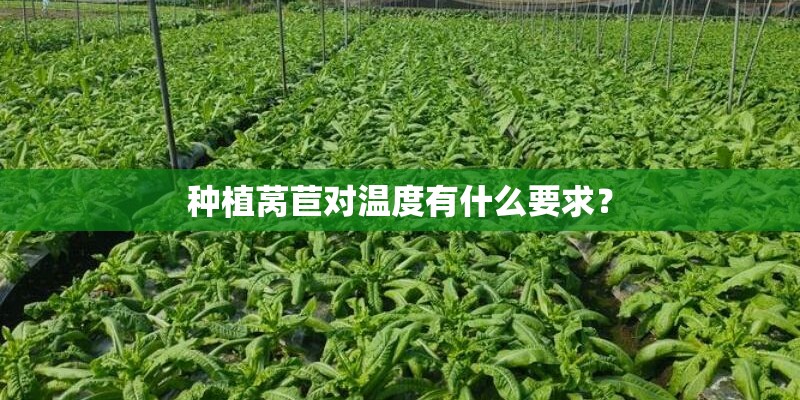 种植莴苣对温度有什么要求? 种植莴苣对温度有什么要求?