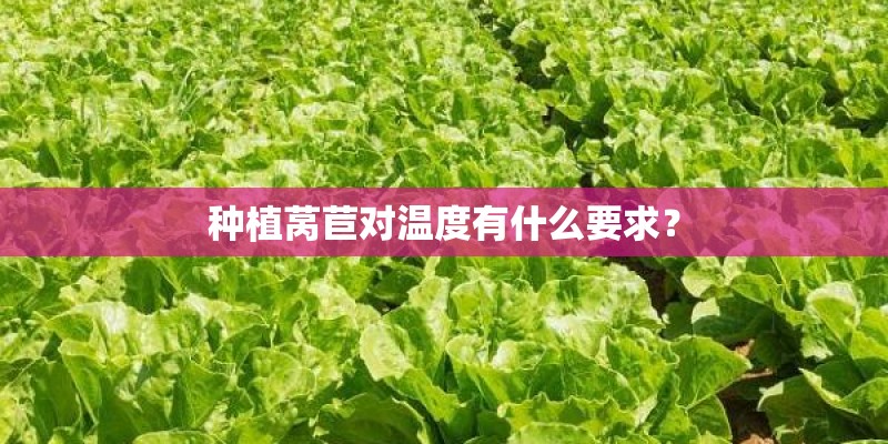 种植莴苣对温度有什么要求? 种植莴苣对温度有什么要求?