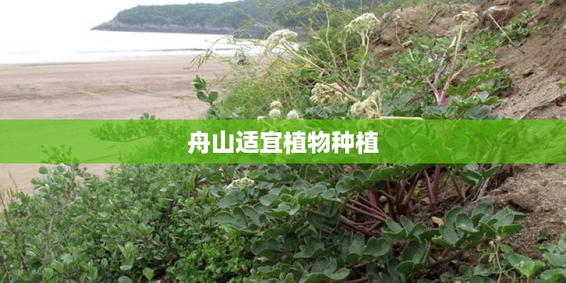 舟山适宜植物种植 舟山适宜植物种植