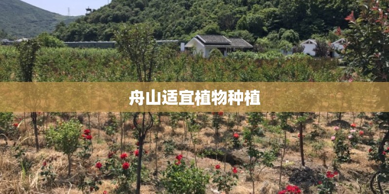 舟山适宜植物种植 舟山适宜植物种植