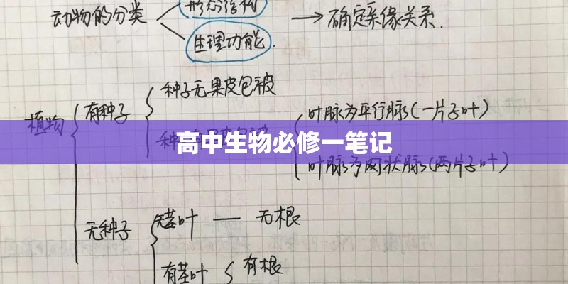 高中生物必修一笔记