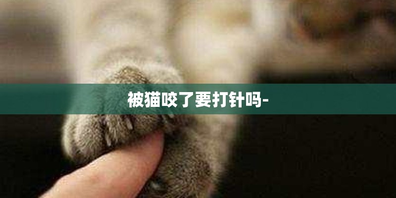 被猫咬了要打针吗-