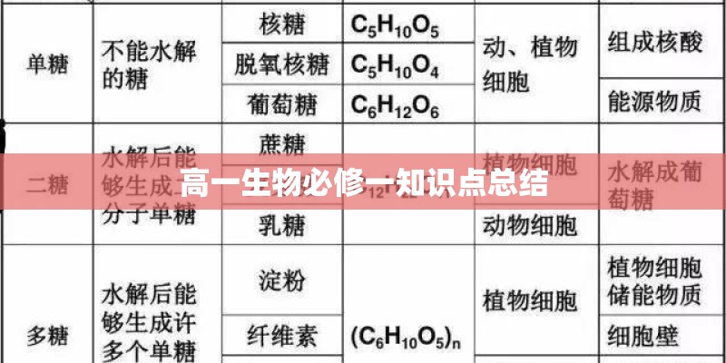 高一生物必修一知识点总结