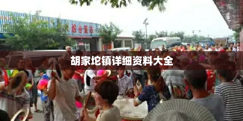 胡家坨镇详细资料大全