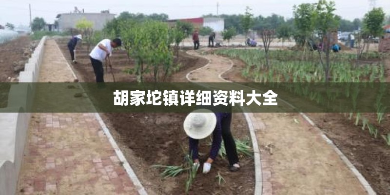 胡家坨镇详细资料大全