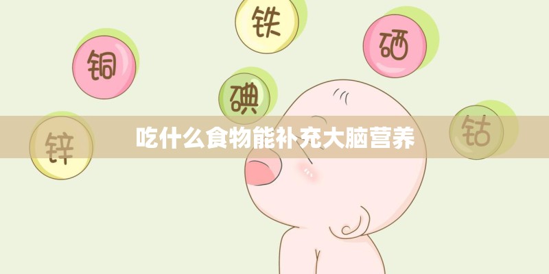 吃什么食物能补充大脑营养