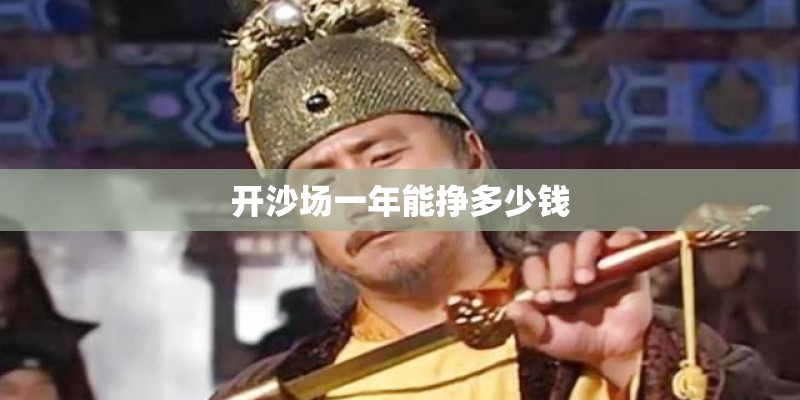 开沙场一年能挣多少钱