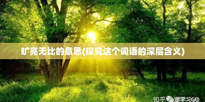 旷亮无比的意思(探究这个词语的深层含义)