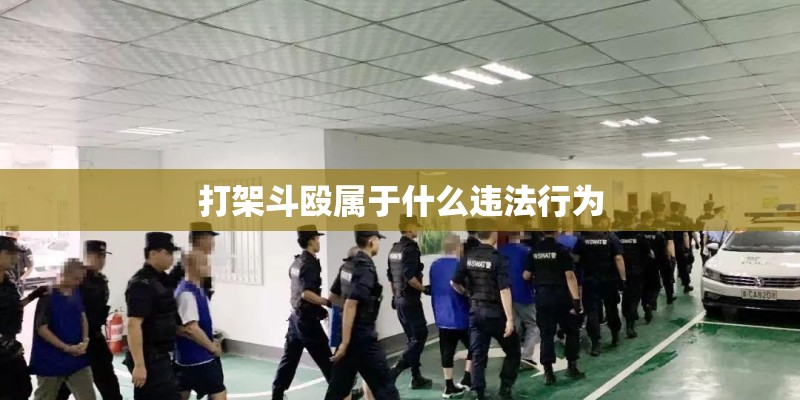 打架斗殴属于什么违法行为