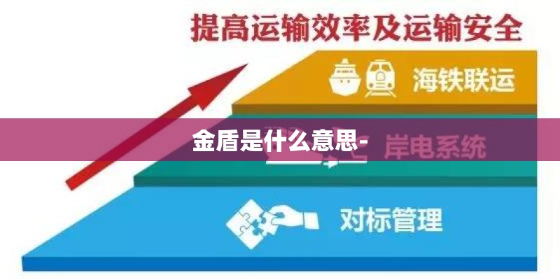 金盾是什么意思-