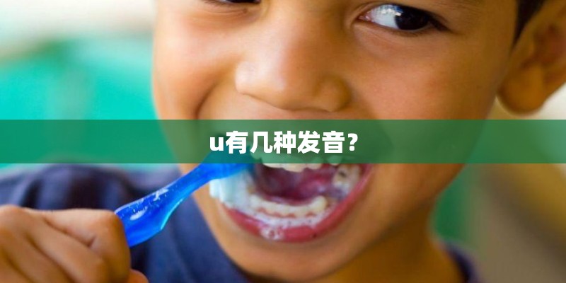 十五渡东湖港团体购票需要每个人的身份证吗