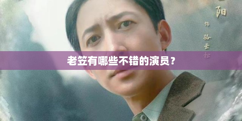老笠有哪些不错的演员？