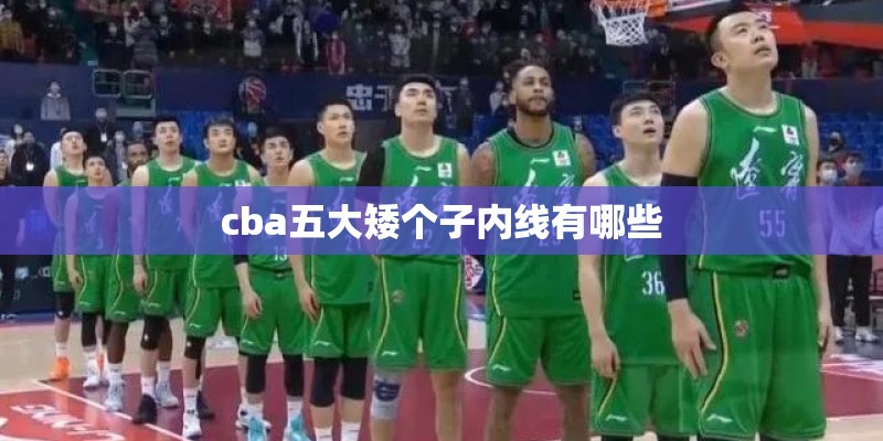 cba五大矮个子内线有哪些 cba五大矮个子内线有哪些