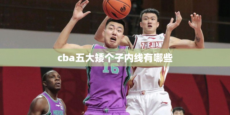 cba五大矮个子内线有哪些 cba五大矮个子内线有哪些