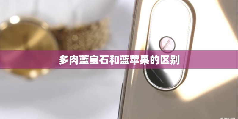 多肉蓝宝石和蓝苹果的区别