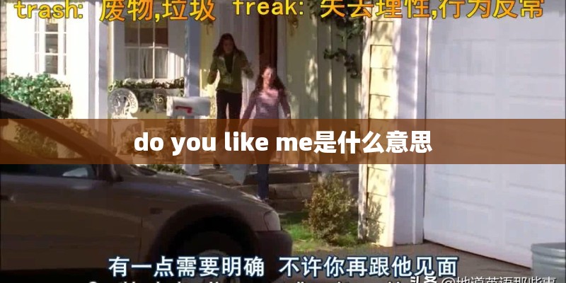 do you like me是什么意思