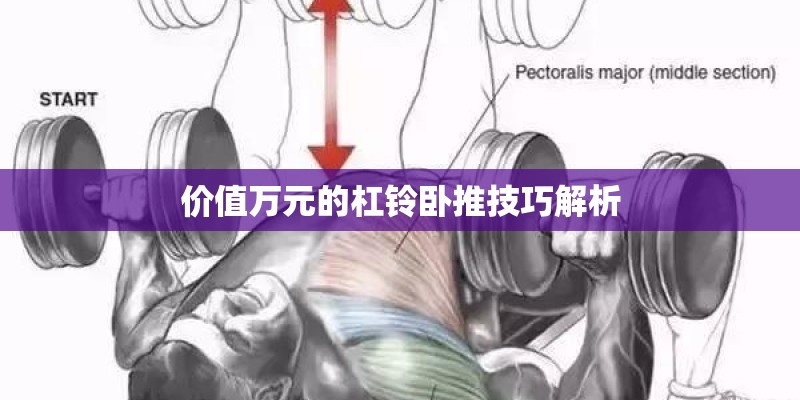 价值万元的杠铃卧推技巧解析
