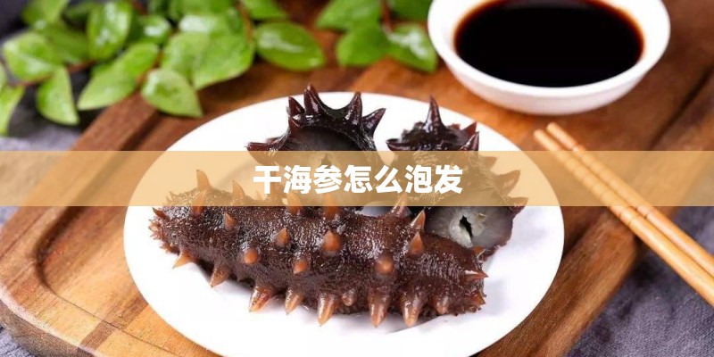 干海参怎么泡发