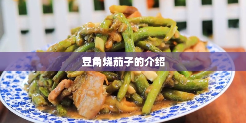豆角烧茄子的介绍