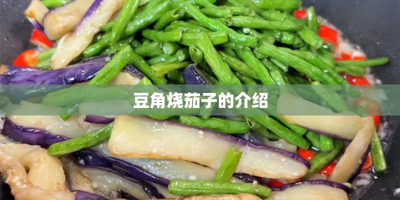 豆角烧茄子的介绍