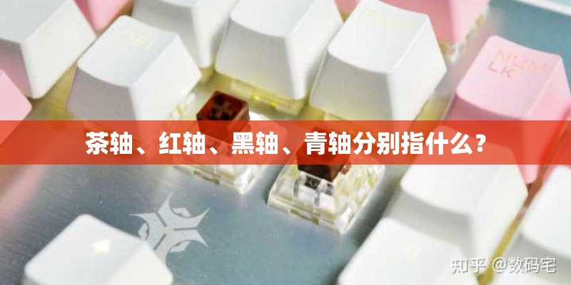 茶轴、红轴、黑轴、青轴分别指什么？